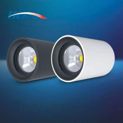 surface mounted trimless adjustable led downlight